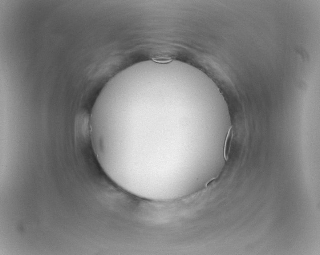 X0000115700041200911251843