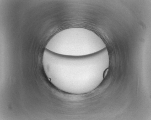 X0000115700044200911251843