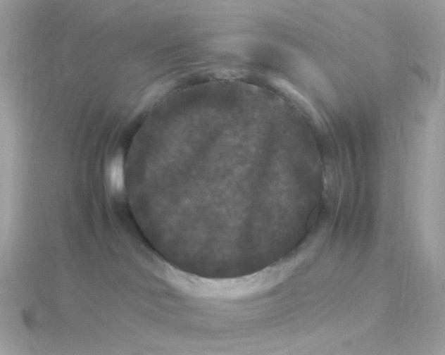 X0000115700046200911251843