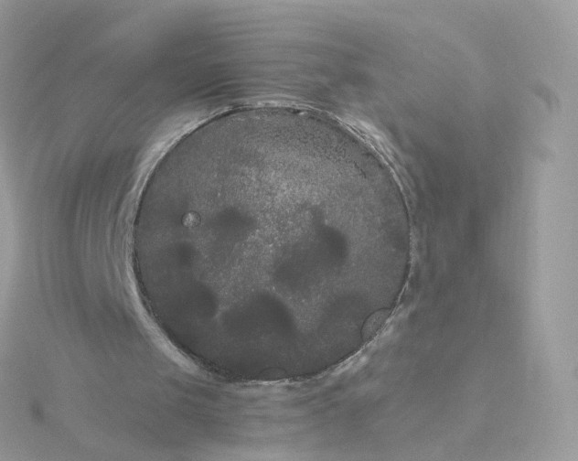 X0000115700049200911251843