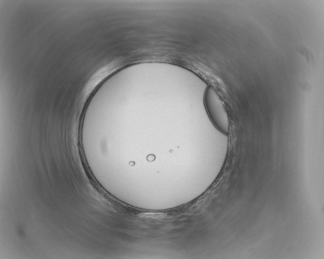 X0000115700051200911251843