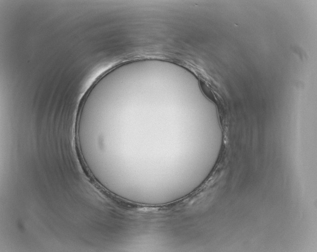 X0000115700052200911251843