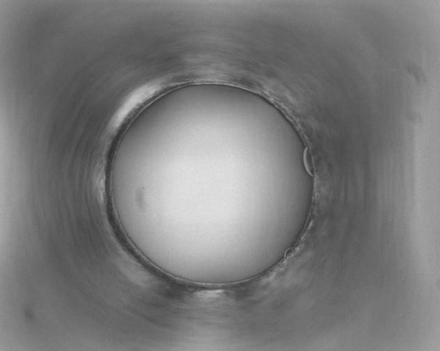 X0000115700054200911251843