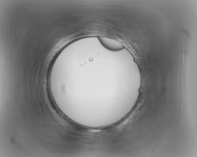 X0000115700055200911251843