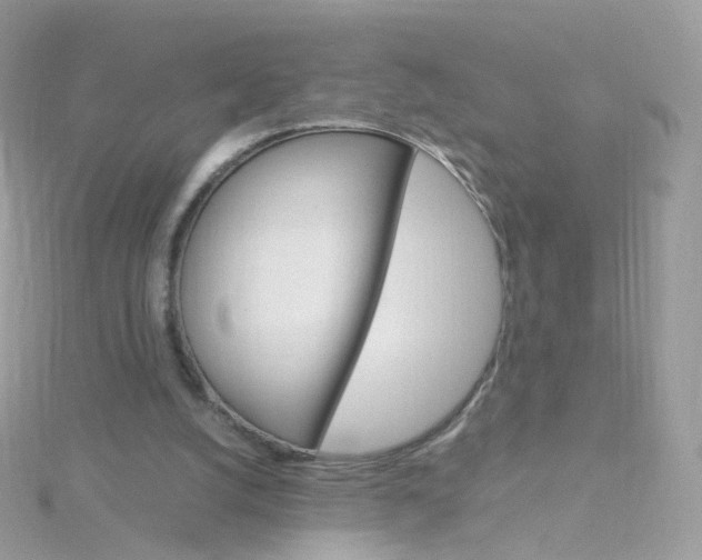 X0000115700056200911251843