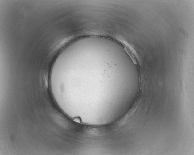 X0000115700062200911251843