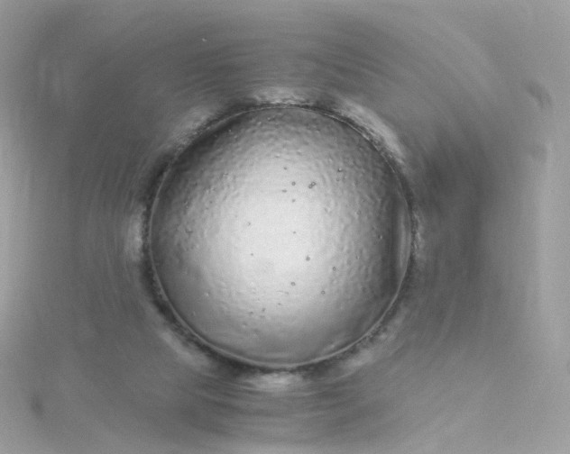 X0000115700065200911251843