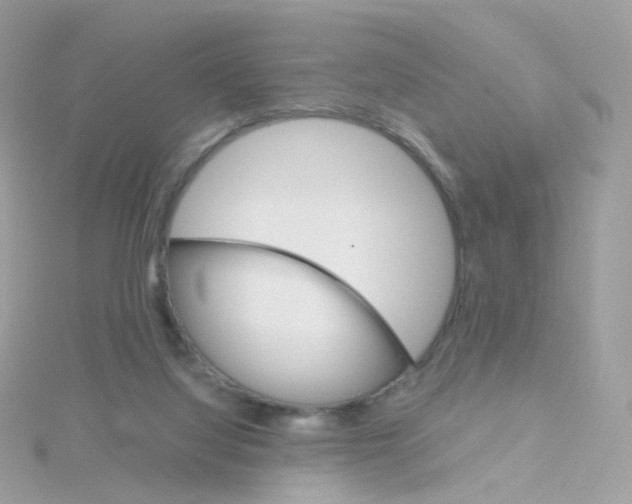 X0000115700068200911251843