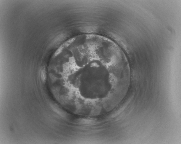 X0000115700069200911251843