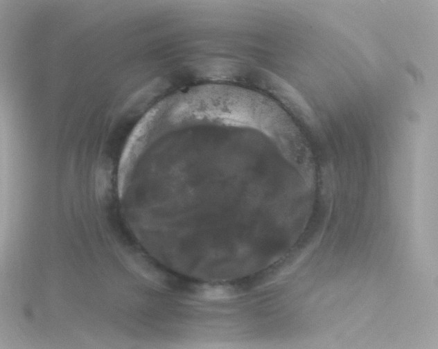 X0000115700073200911251843