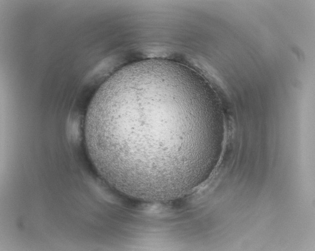 X0000115700074200911251843