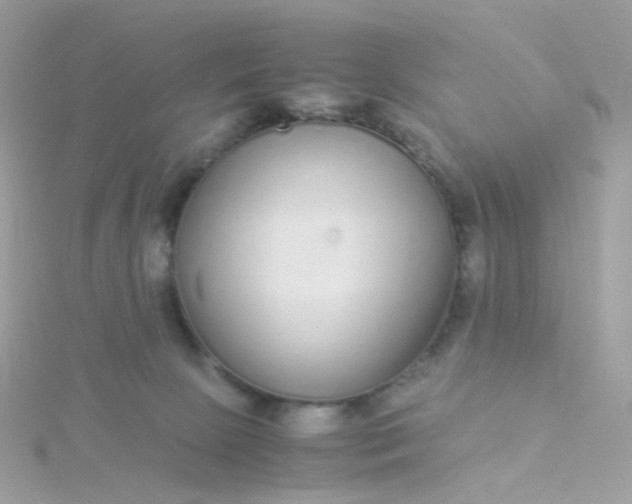 X0000115700081200911251843