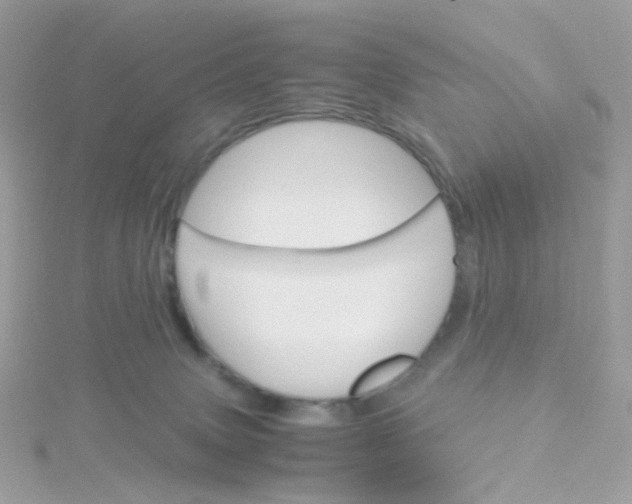 X0000115700083200911251843