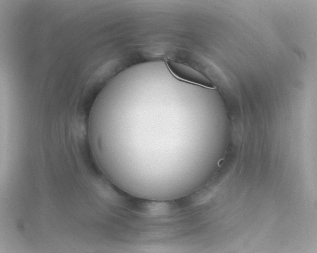 X0000115700085200911251843