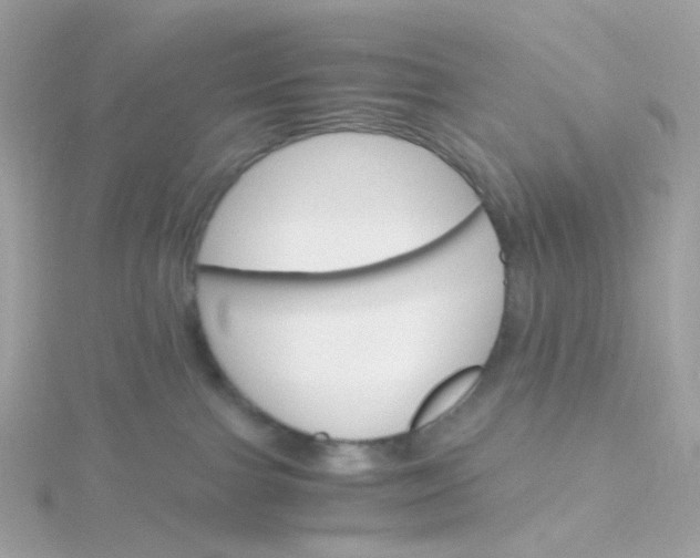 X0000115700091200911251843