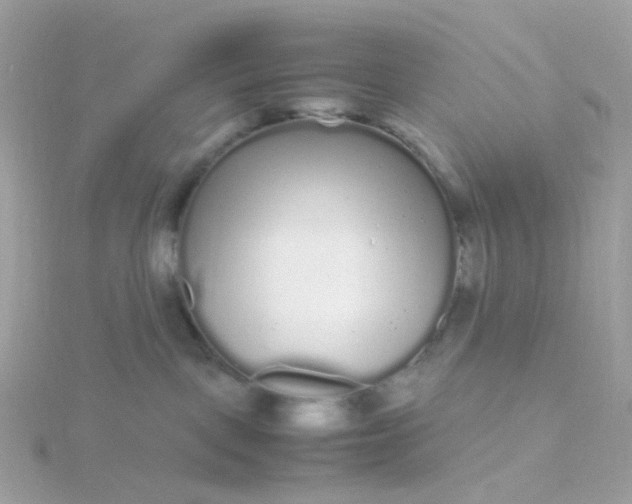 X0000115700093200911251843