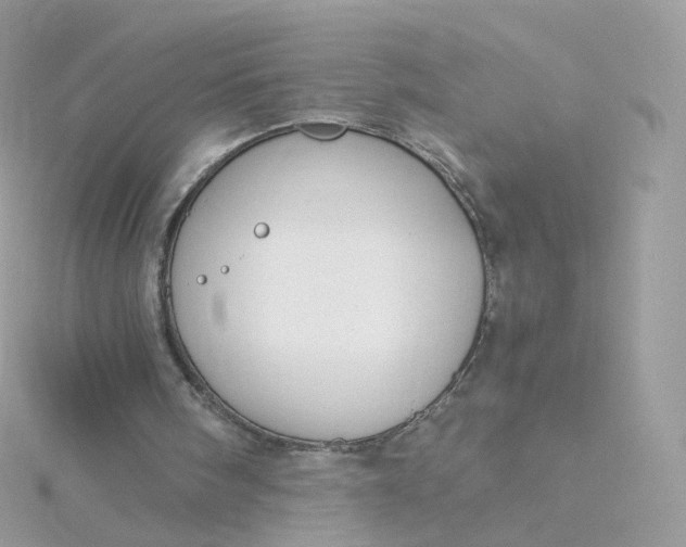 X0000115700098200911251843