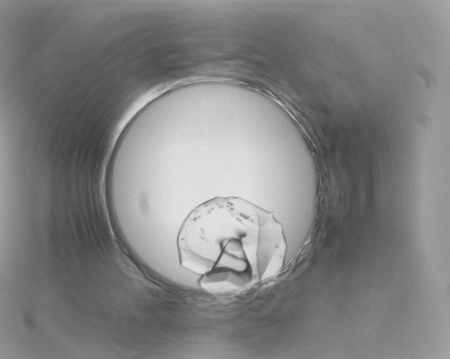 X0000115700100200911251843