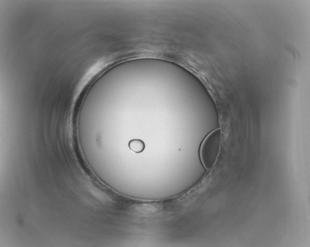 X0000115700102200911251843