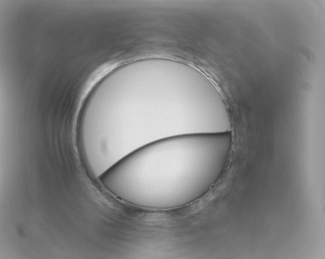 X0000115700104200911251843