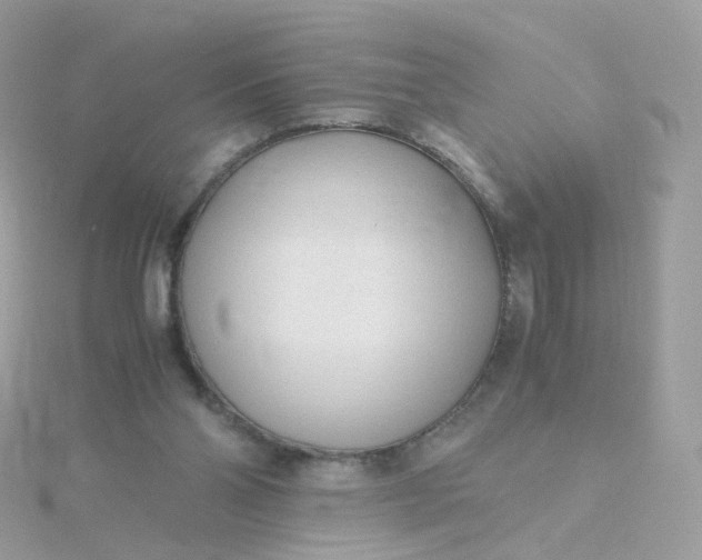 X0000115700110200911251843