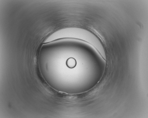 X0000115700117200911251843