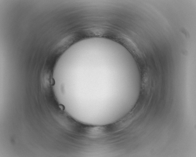 X0000115700122200911251842