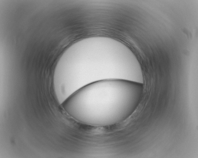 X0000115700124200911251842