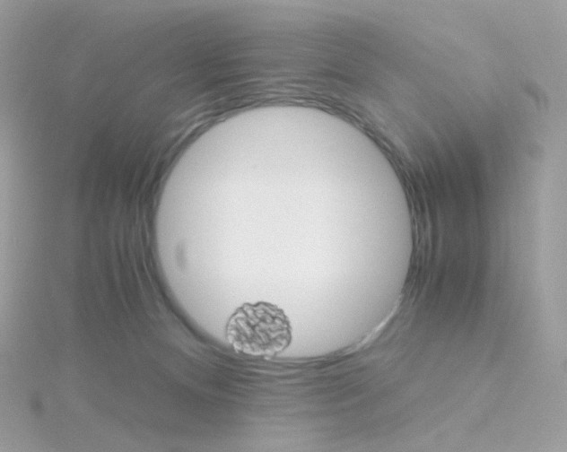 X0000115700128200911251842