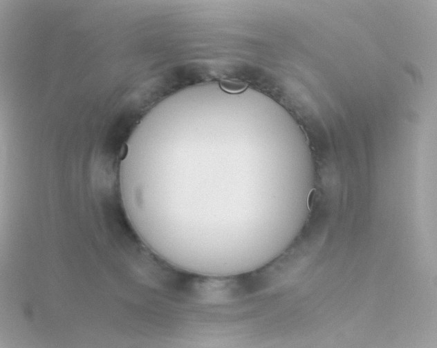 X0000115700129200911251842