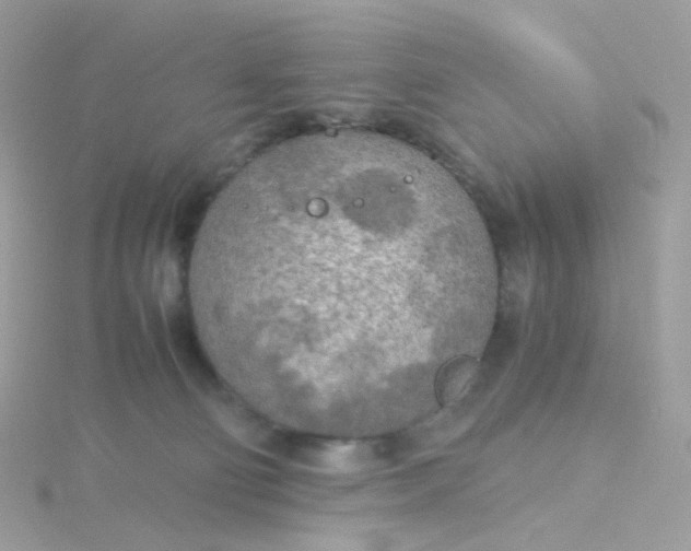 X0000115700130200911251842