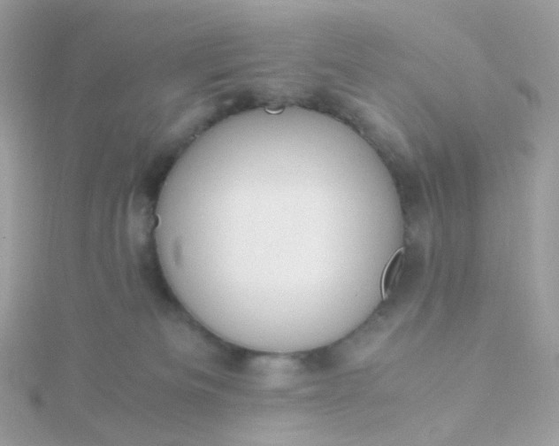 X0000115700133200911251842