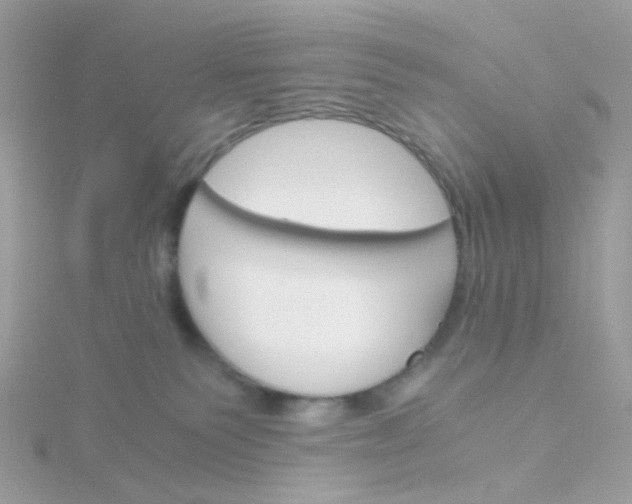 X0000115700135200911251842