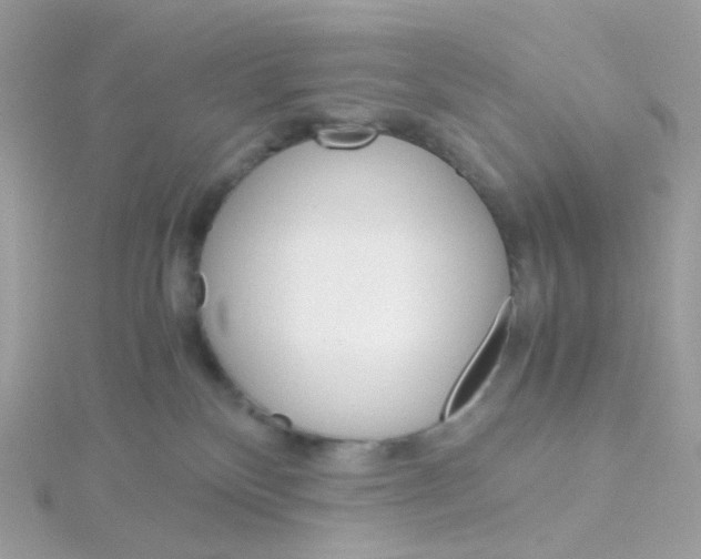 X0000115700136200911251842