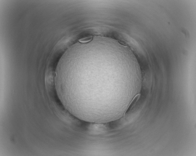 X0000115700137200911251842