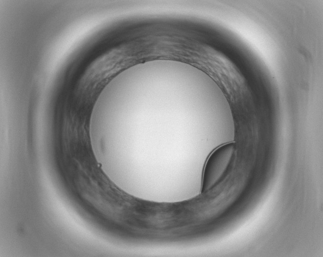 X0000115700142200911251842