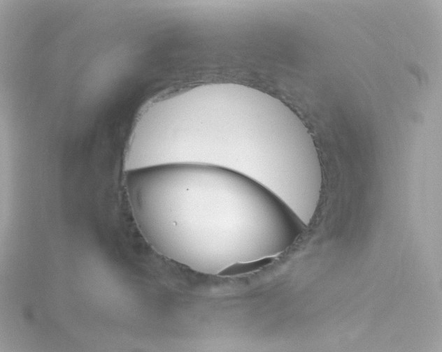 X0000115700144200911251842