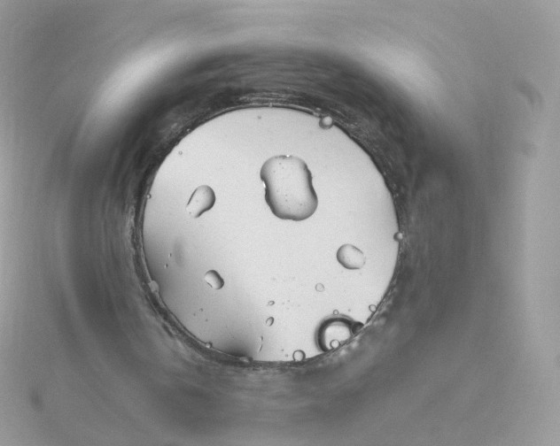 X0000115700146200911251842