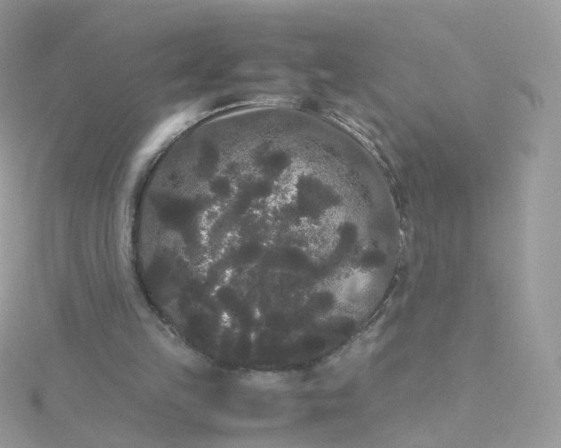 X0000115700149200911251842