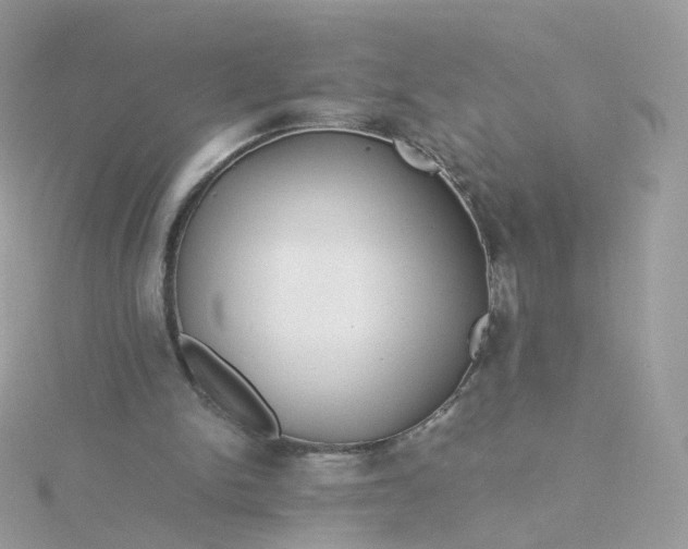 X0000115700150200911251842