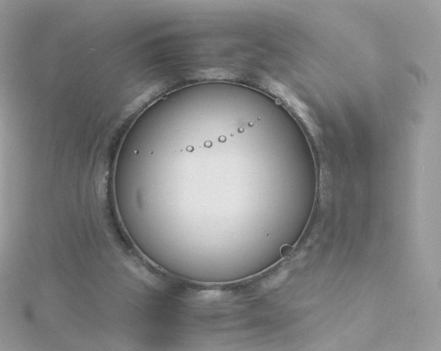 X0000115700153200911251842