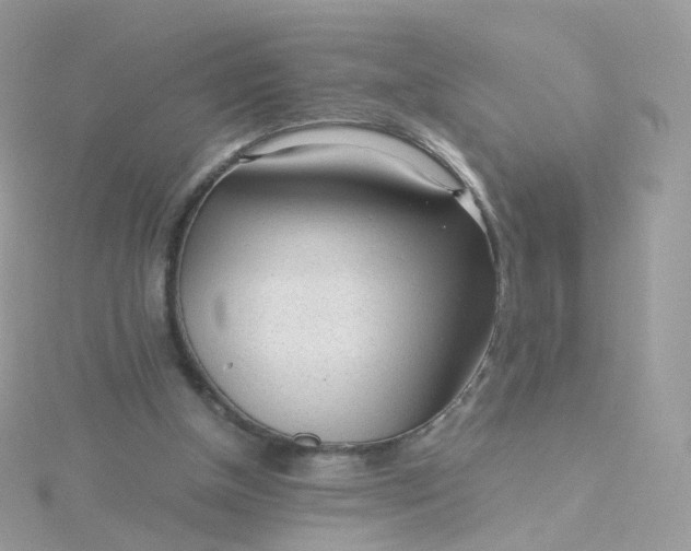 X0000115700154200911251842