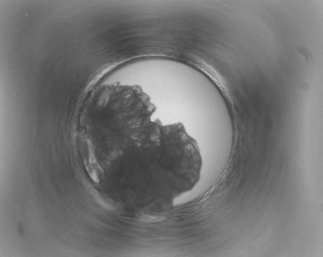 X0000115700155200911251842