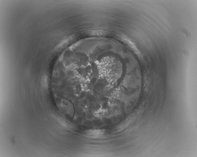 X0000115700161200911251842