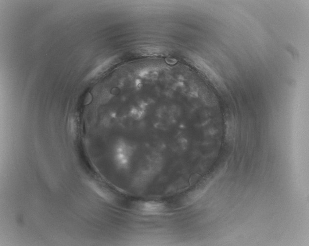 X0000115700165200911251842