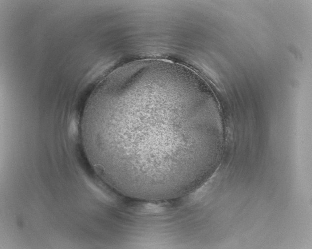 X0000115700166200911251842