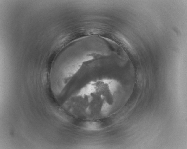 X0000115700169200911251842