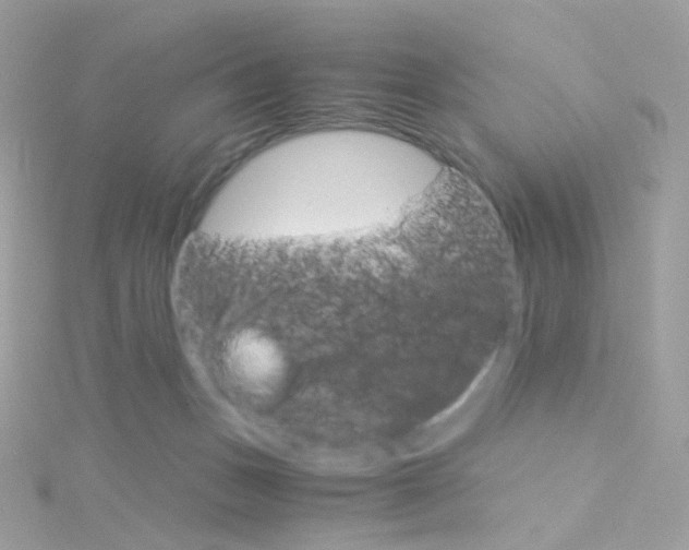 X0000115700175200911251842