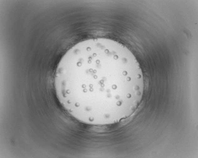 X0000115700179200911251842