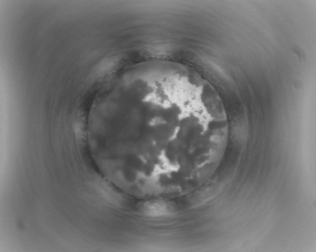 X0000115700181200911251842